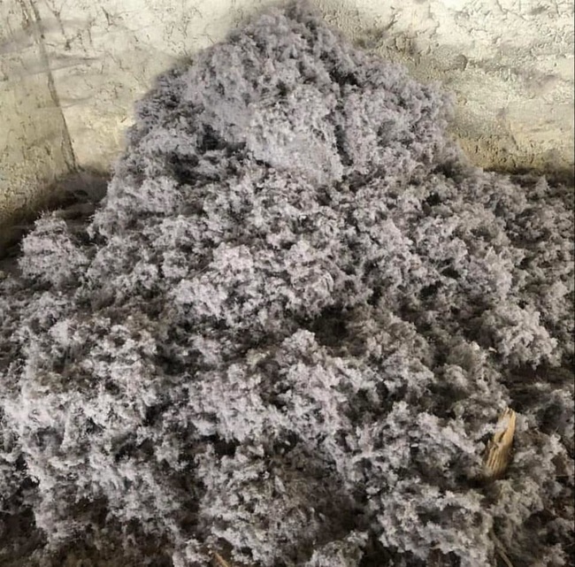 dryer vent cleaning img
